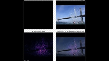 Integrated Gradients | SAiDL | Reading Sessions