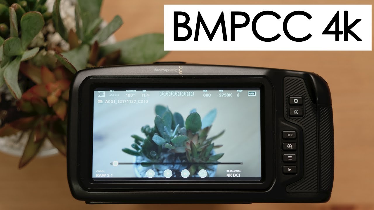 Rent a Blackmagic Pocket Cinema Camera 4K (MFT) at LensProToGo.com