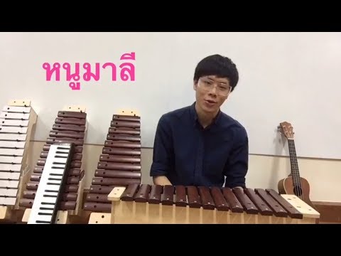 ดนตรีสำหรับเด็ก-ดนตรีเด็กอนุบาล สอนเล่นเพลง  "หนูมาลี"