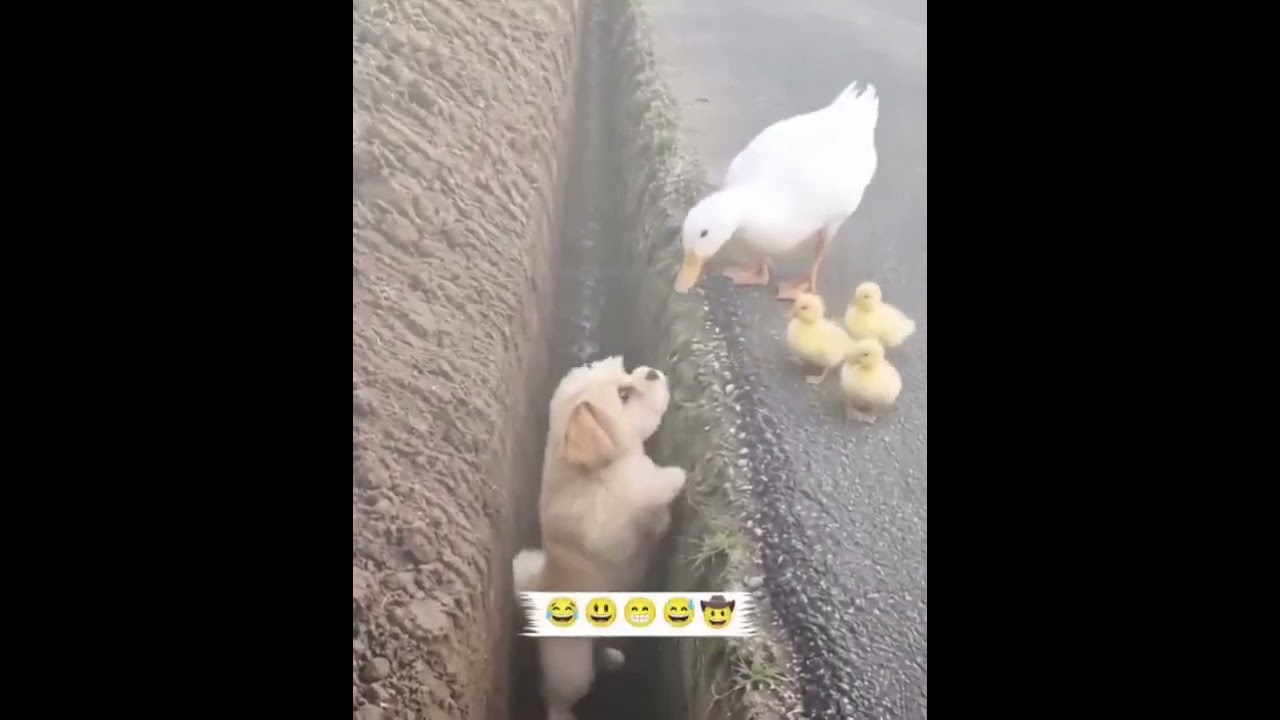 amazing