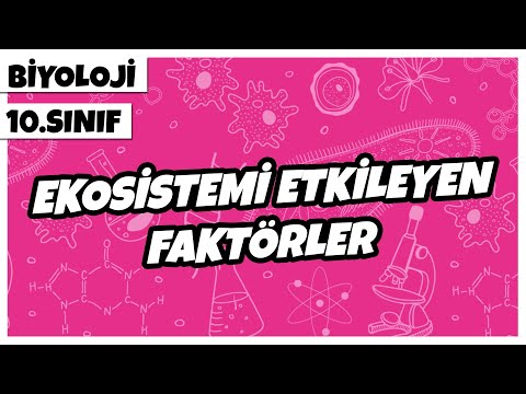 10. Sınıf Biyoloji - Ekosistemi Etkileyen Faktörler