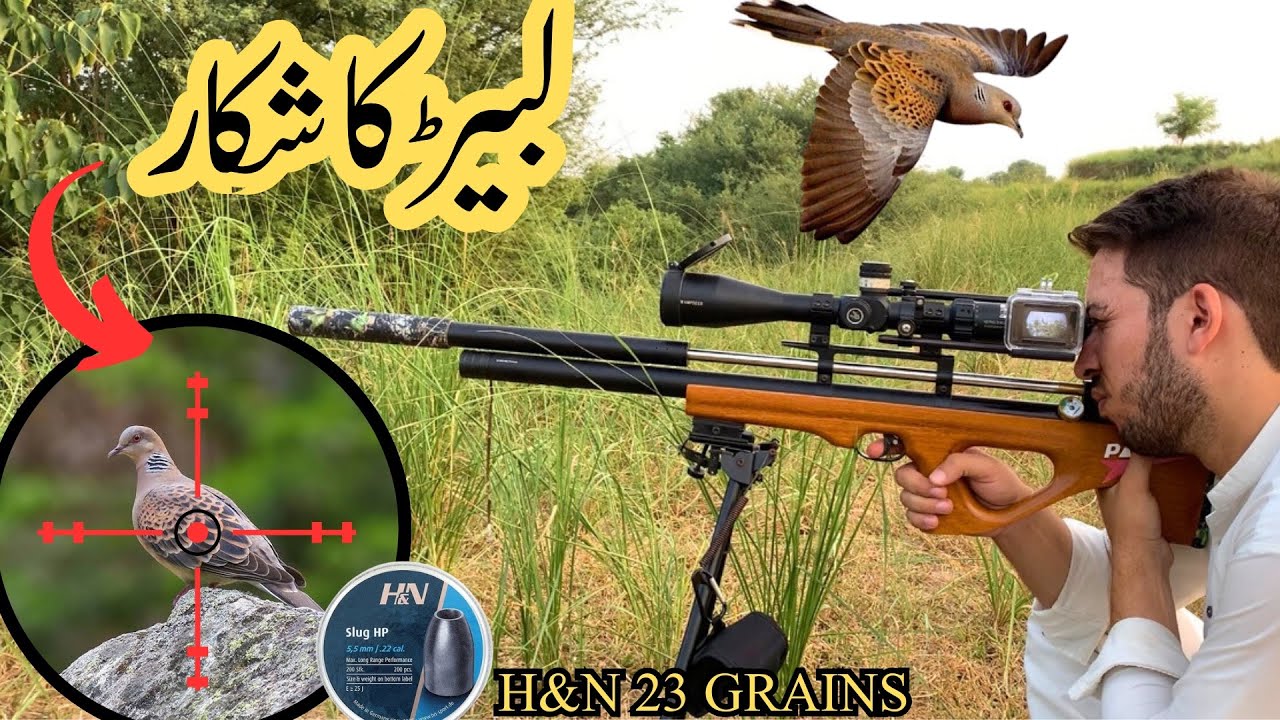 Russian Doves Hunting | SLUGS ACCURACY WITH AIRGUN