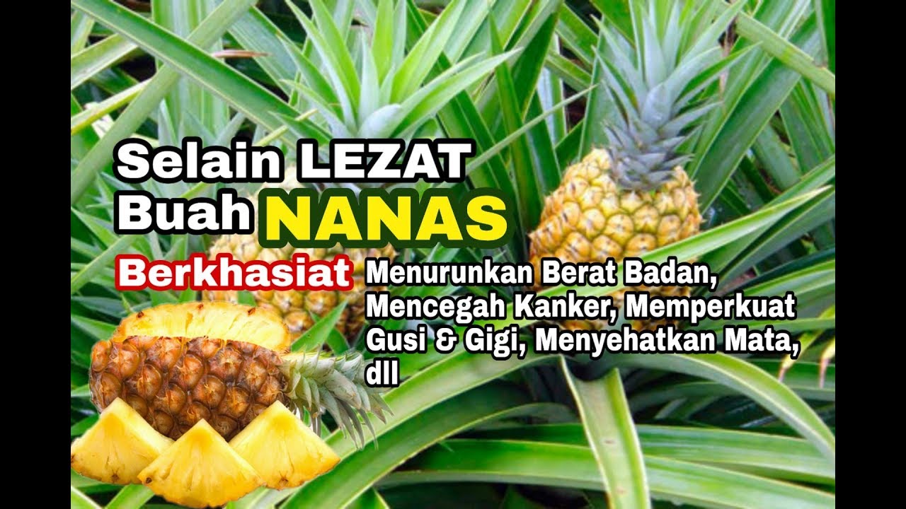 Unik..!! Selain LEZAT Buah, NANAS Berkhasiat Menurunkan Berat Badan