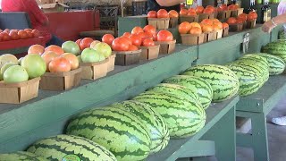 East Texas mother and daughter create new online tool to find farmers for fresher produce