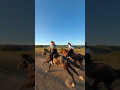 Hoe je begint met paardenrenweddenschappen bij Casoola