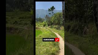 Nomad Exploring North Bali Interior On Foot