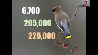 Winter Backyard Birds in PA!
