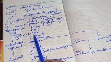 Catecholamine Synthesis Made Easy  | USMLE Step 1 High-Yield Biochemistry