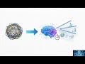 100 Days 100 AI Tools | Day 71 | Gamma – Create Presentations & Documents with AI