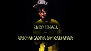 Enzo Ishall - Vakamhanya Makarimwa (Official Audio)