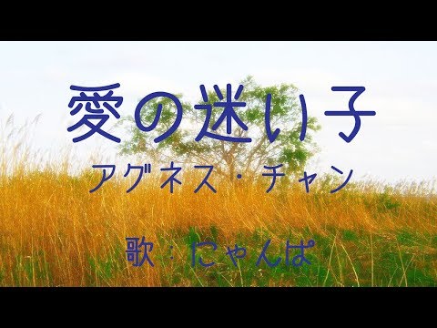 愛の迷い子 （ アグネス・チャン ） cover / 歌:にゃんぱ