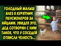 Он залез в курятник пенсионеров за яйцами, увидев это, дедушка шокировал поступком…