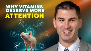Information Nutrition and Sow Livability - Dr. Mark Knauer News
