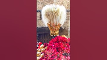 Thumbnail of Dam Mast Qalandar Nusrat Fateh Ali Khan ( Hazart Lal Shahbaz Qulandar )