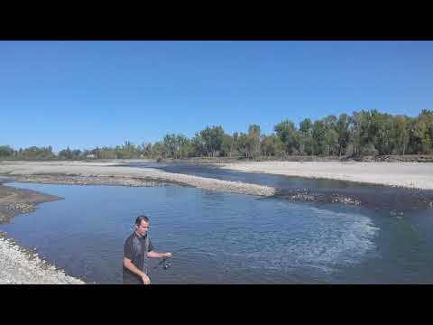 Fishing Yellowstone river billings Montana
