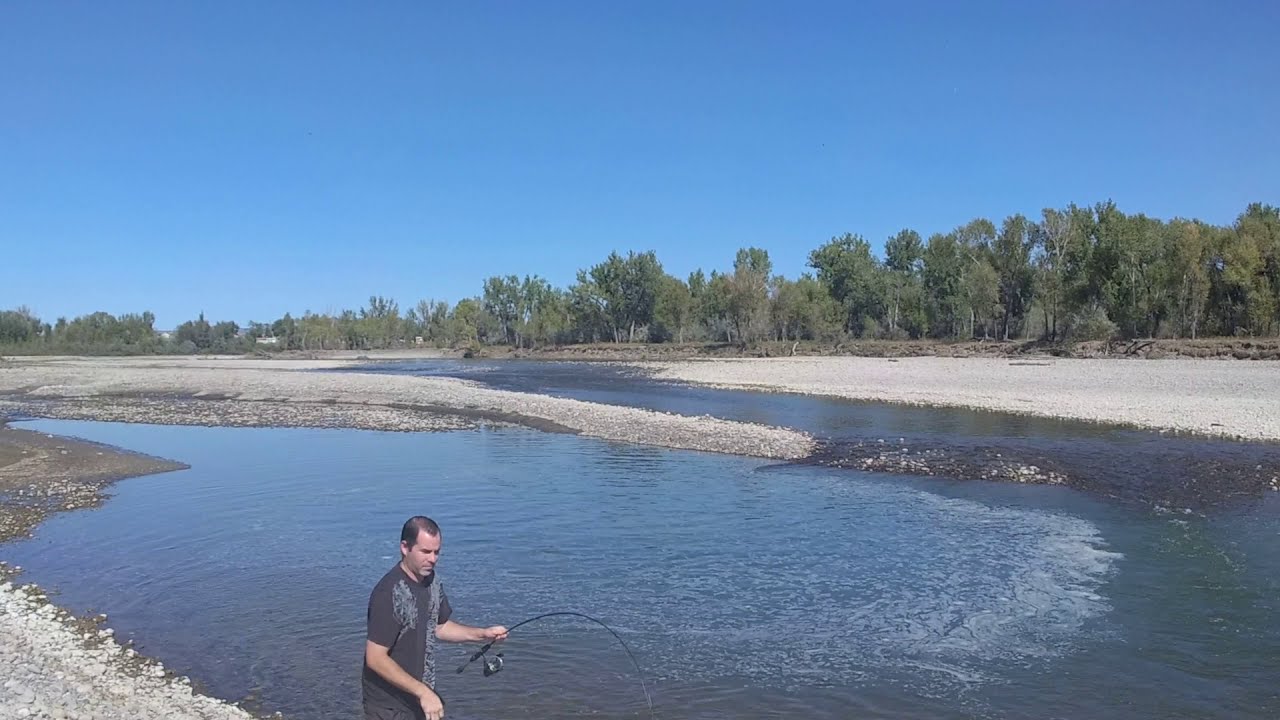 Fishing Yellowstone river billings Montana YouTube
