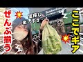 【キャンプ入門】ここでギア、格安で揃います。キャンプ専門リユースショップが楽しすぎた。