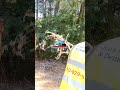 Yard waste removal in Mooresville, NC #junkjournal #junkremoval #mooresvillenc