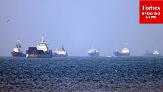 'It's Like A Cancer': Supply Chain Expert Issues Ominous Warning About Hormuz Closure