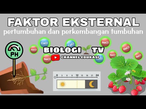 Video: Faktor yang mempengaruhi jumlah keuntungan. Faktor eksternal dan internal