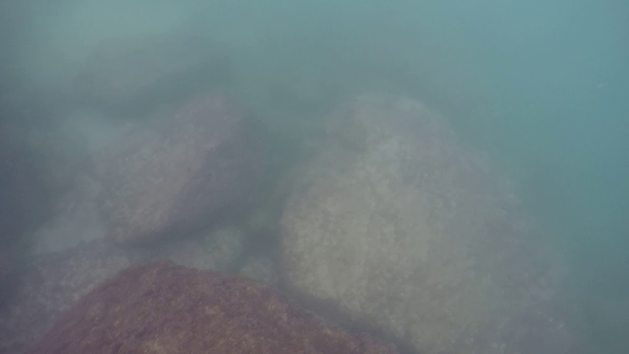 Ponce Inlet FL jetty Fishing YouTube