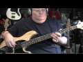 David Bowie Wild Is The Wind Bass Cover with Notes & Tablature