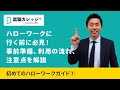 【徹底解説!!】ハローワーク就活の全体像