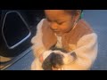 Little girl offers a safe haven for a canine castaway  wooglobe