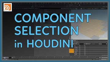 #06 Component Selection in Houdini