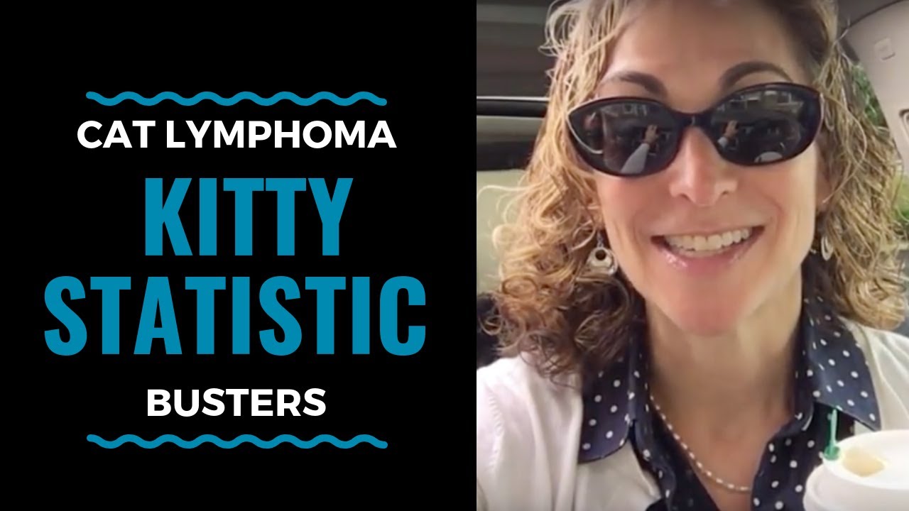 Cat Lymphoma: Kitty Statistics Busters: Vlog 11 