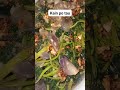 #shortvideo #food #minivlog #cooking