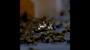 وأوحى ربك إلى النحل | ما تيسر من سورة النحل | القارئ أحمد الشافعي | تلاوة خاشعه