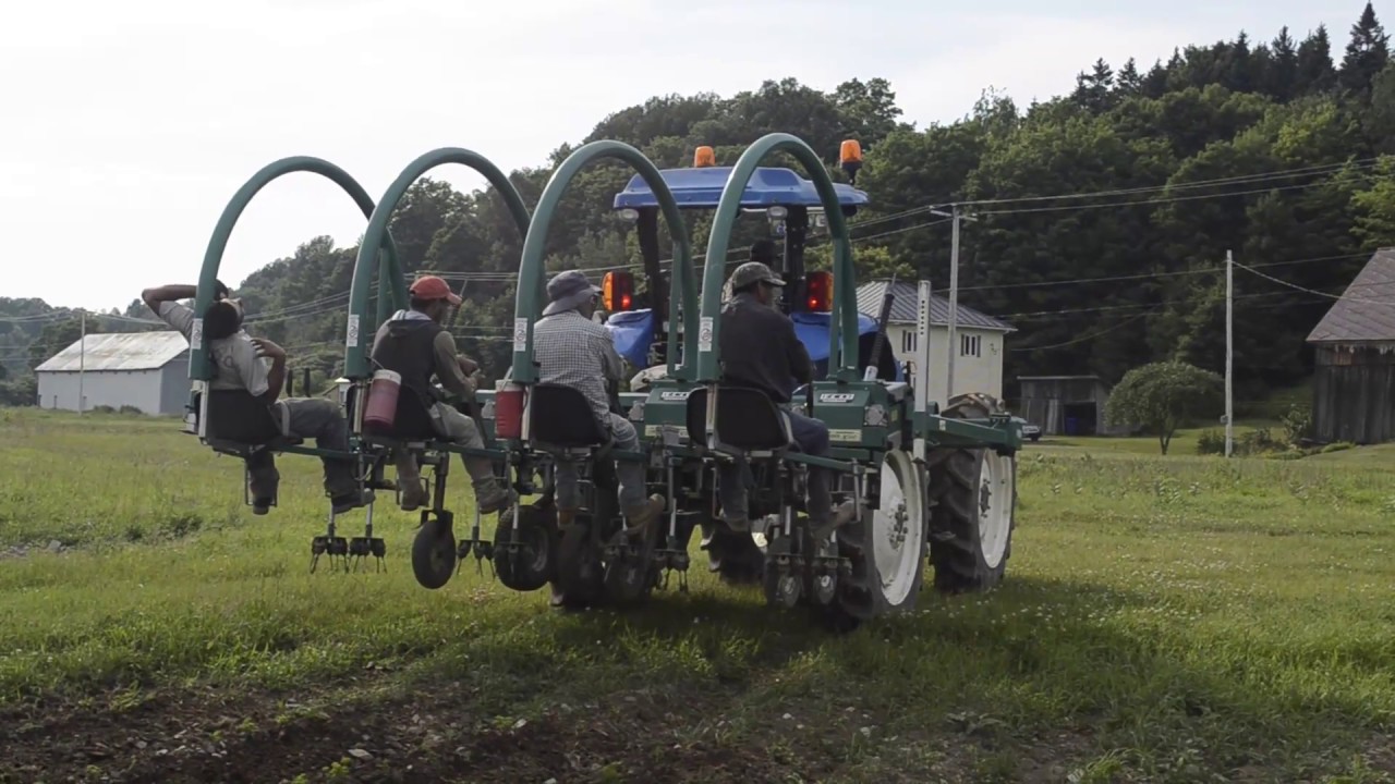 Multirow Eco Weeder / Sarcloir ECO multi rangs / Univerco YouTube