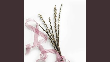 Simplistic Moods for Amusing Spaces