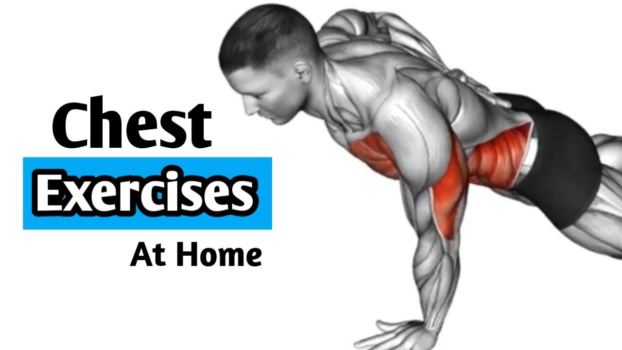 Best Chest Workouts For At Home at Bridget Powers blog