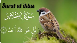 سورۃ الإخلاص | Surah Al-Ikhlas Full | Beautiful Quran Recitation with