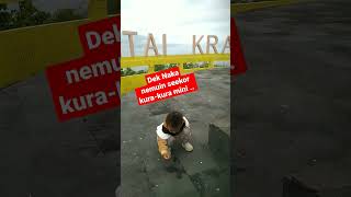 Dek Naka nemuin Kura-kura mini #shorts #trending #fyp #viral #bayiimut #bayilucu