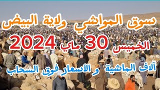 آلاف رؤوس الماشية بسوق المواشي البيض الخميس 30 ماي عيد الأضحى 2024