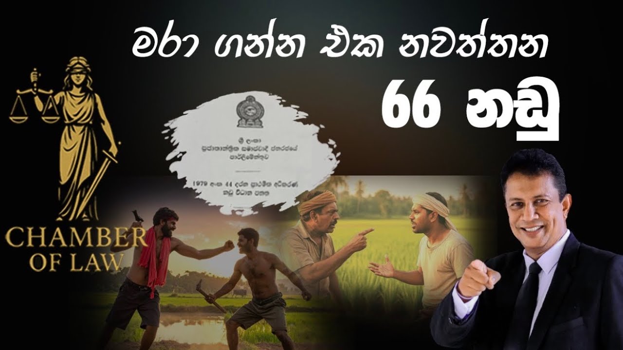 ඉඩම් වලට මරා ගන්න එක නවත්තන 66 නඩු #LandDisputes #Section66 #PrimaryCourt #LandOwnership
