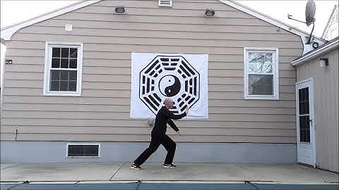 37 Step Yang Style Tai Chi Form
