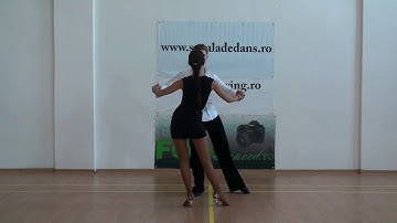 Cucarachas to Right and Left - Samba