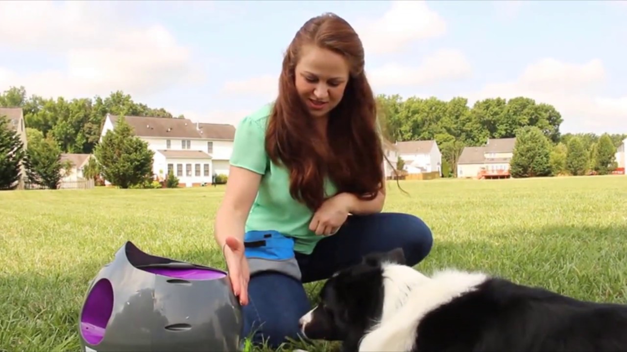 [Top6] best dog ball launcher  Reviews 2020