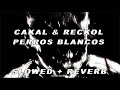 Cakal  reckol  perros blancos slowed  reverb  bass boosted