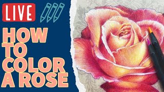 How To Color A Rose WITH COLORED PENCILS