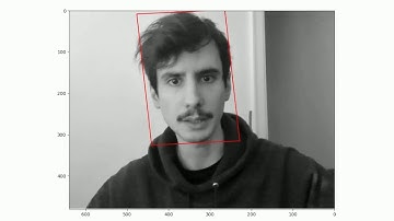 CSCI5561 CV - Inverse Compositional Tracking using Affine Maps (No ML/DL)