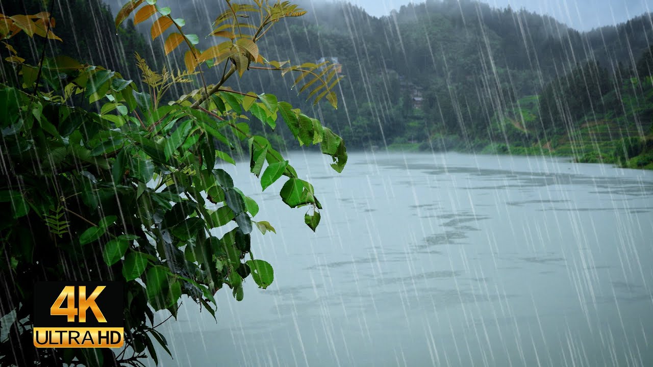 山区湖边下雨声,雨滴水面声,自然雨声,助眠雨声,解压白噪音 - YouTube