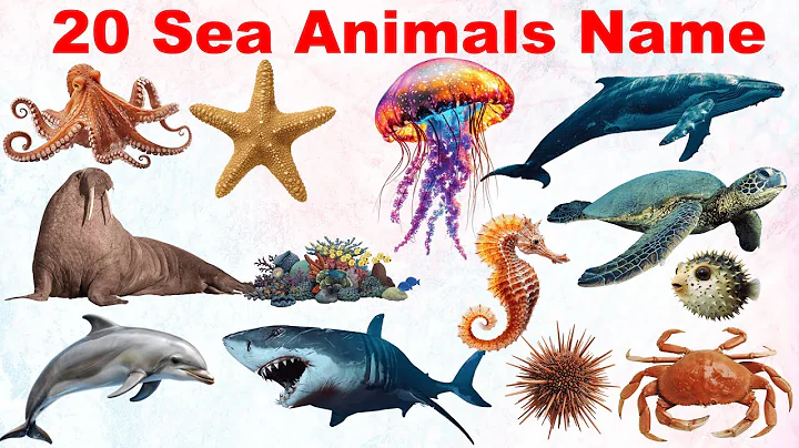 20 Sea Animals for Kids | Learn Ocean Animal Names in English with Sounds and Pictures | Marine Life