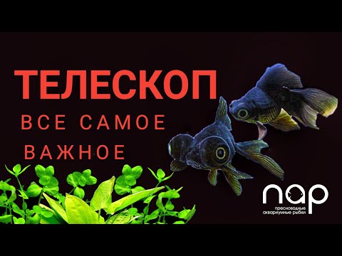 Телескоп. Все самое важное.