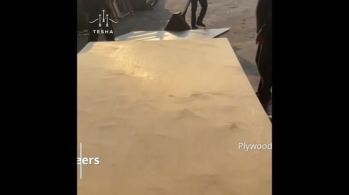 TESHA VIETNAM BIRCH PLYWOOD