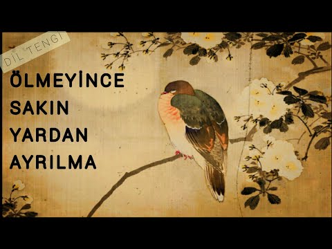 Dil Tengî - Ölmeyince Sakın Yardan Ayrılma